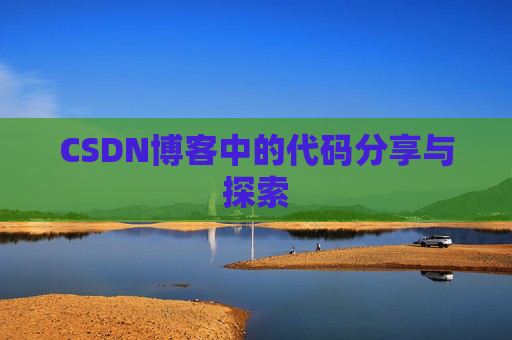 CSDN博客中的代码分享与探索